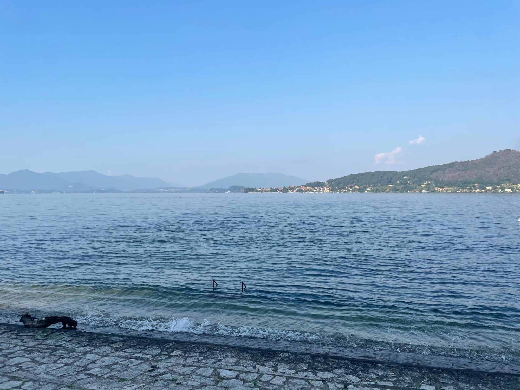 Appartamento Sul Lago - Meina Bagian luar foto